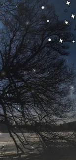 Moonlit sky with silhouetted tree and stars in night scenery.