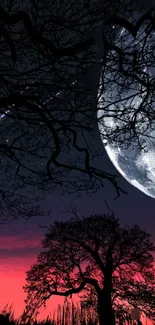 Moonlit night sky with silhouetted trees and a red horizon.