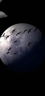 Moonlit night sky with birds silhouetted against the moon and dark clouds.