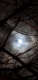 Full moon shining through silhouetted branches at night.