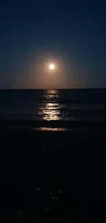 Moonlit ocean scene with full moon and calm sea waves at night.