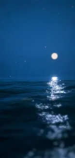 Moonlit ocean horizon with night sky and shimmering sea reflections.