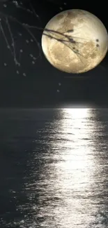 Serene moonlit ocean nightscape with reflection.