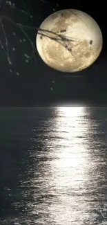 Moonlit ocean scene with full moon reflecting on water.