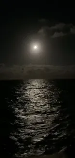 Moonlit ocean reflecting light on a tranquil night.