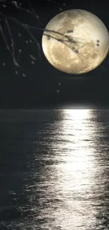 Full moon reflecting on the ocean during a calm, serene night.