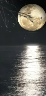 Moonlit ocean night with full moon reflecting on water.