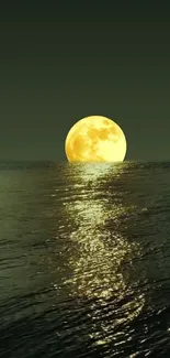 Full moon reflecting on calm ocean with dark green night sky.