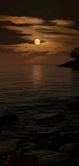 Moonlit ocean with serene night sky background.