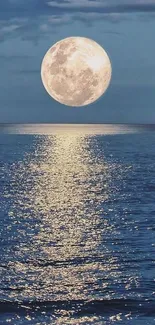 Moonlit ocean view with serene reflection under night sky.