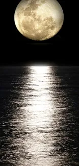 Full moon reflecting over a calm ocean at night.