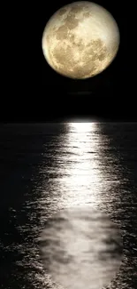 Moonlit ocean reflecting a full moon during a serene night.