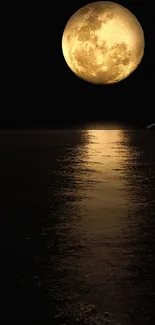 Full moon reflecting over a dark ocean at night, creating a serene scene.