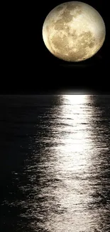 Moonlit night over ocean with glowing reflection.