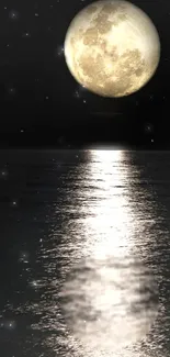 Moon reflecting on a calm ocean under a starry night sky.