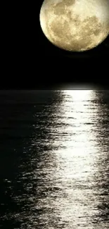 Moonlit ocean reflecting serene full moonlight at night.