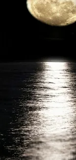 Full moon reflecting over a peaceful ocean at night.