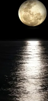 Full moon reflecting on calm ocean at night.
