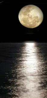 Moonlit ocean reflection with serene water and a full moon overhead.