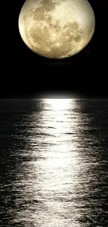 Full moon reflecting over a calm ocean at night, creating a tranquil scene.