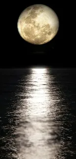 Full moon reflecting over a calm ocean at night.