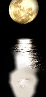 Moon reflecting over a tranquil dark ocean, creating a serene night scene.