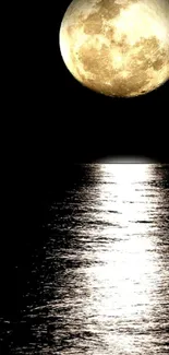 Moonlit ocean reflecting full moon's glow