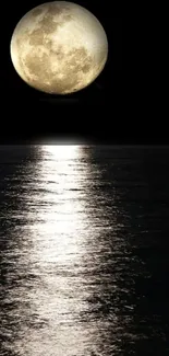 Moon casting reflection on ocean at night.