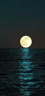 Full moon reflected on the serene ocean at night, creating a calming ambiance.