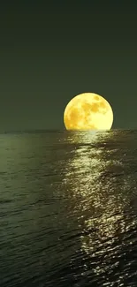 Moonlit ocean reflecting the full moon, creating a serene night scene.