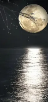 Full moon reflecting over calm ocean at night with tree branches.