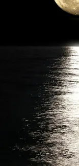 Moonlit ocean with full moon reflecting on the water.