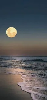 Peaceful moonlit ocean with gentle waves.