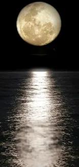 Full moon reflecting on a calm ocean at night.