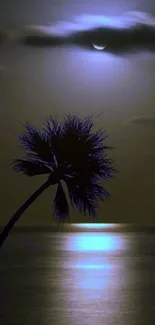 Silhouette of a palm tree under a moonlit sky reflecting on ocean waters.