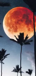 Scenic night view of palms silhouetted against an orange moon.