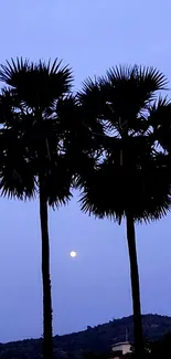 Silhouetted palm trees with moon and blue sky.