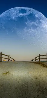 Serene pathway under a large glowing moon in a night sky wallpaper.