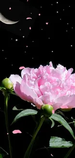 Pink peony with crescent moon in a starry night sky.