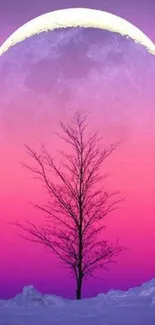 Silhouetted tree under pink and purple moonlit sky wallpaper.