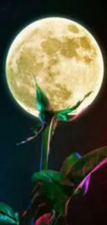 Moonlit plant with vibrant lighting on a dark night background wallpaper.