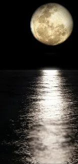 A full moon reflecting on calm waters under a dark night sky.