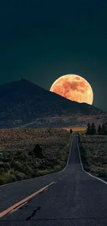 Road leading to a mountain under a full moon.