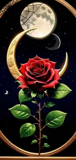 Red rose with crescent moon on a dark background