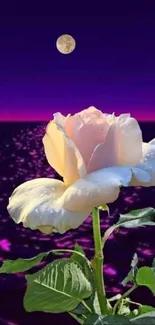 Moonlit rose with vibrant horizon background.