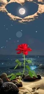 Red rose on beach under moon with heart-shaped clouds.