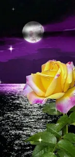 Yellow rose under moonlit purple sky reflecting on sea.