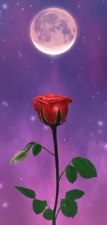 A vibrant red rose beneath a full moon against a starry purple sky.