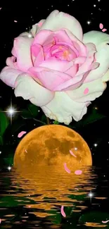 Moonlit rose with glowing moon reflection.