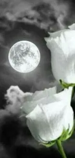 Moonlit white roses against a dark, cloudy night sky.